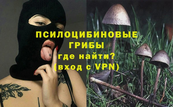 a pvp Инта