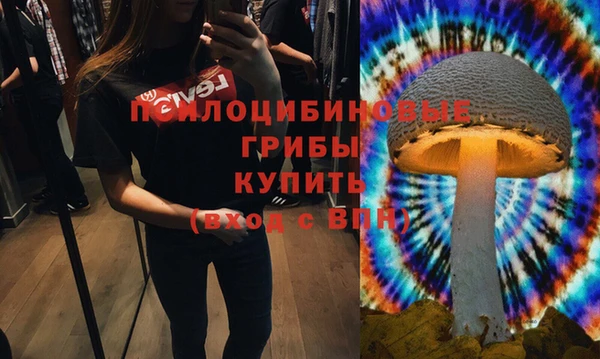 2c-b Иннополис