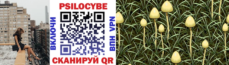 Купить закладки  Дудинка  Галлюциногенные грибы GOLDEN TEACHER 